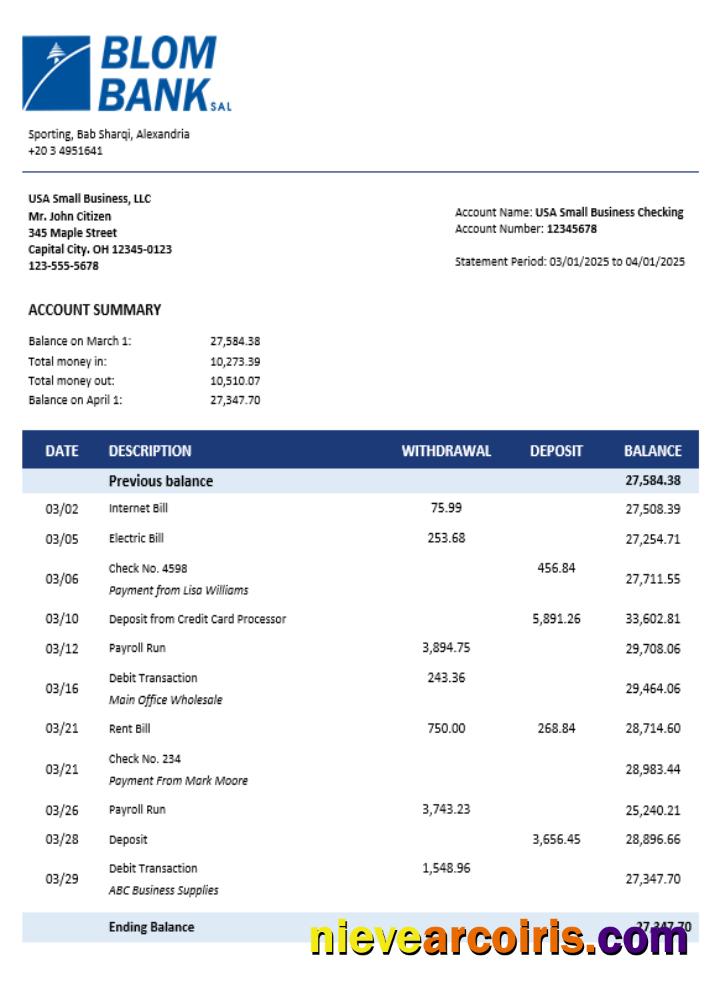 Blom Bank of Egypt enterprise account statement